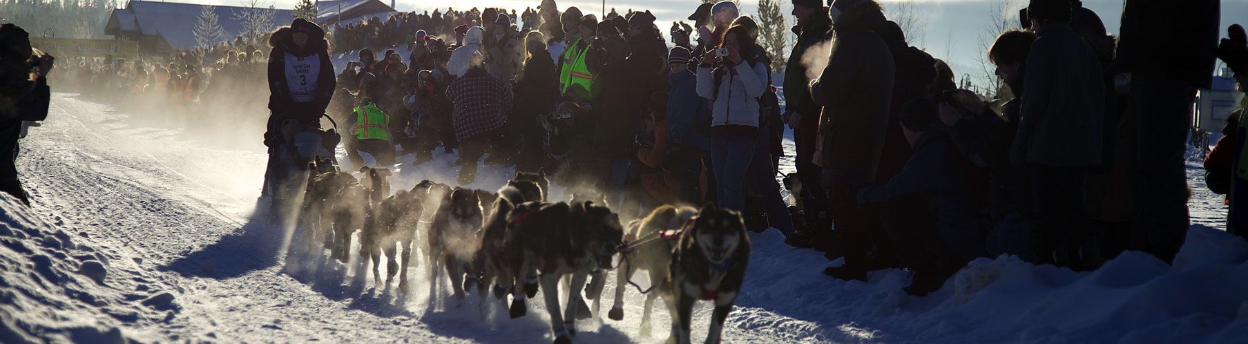 Dog Sled Race Image