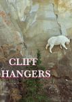 Cliff Hangers dvd