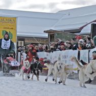 Yukon Quest 2012